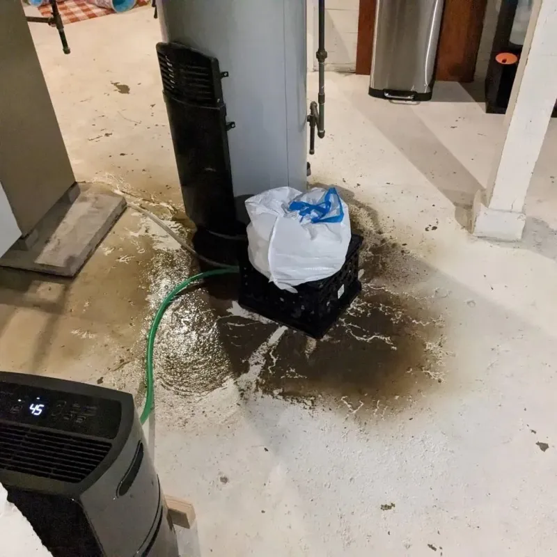 Sewage Backup Cleanup Service in Annville, PA